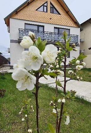 Casuta Noastra - Sulina Hotel Екстериор снимка